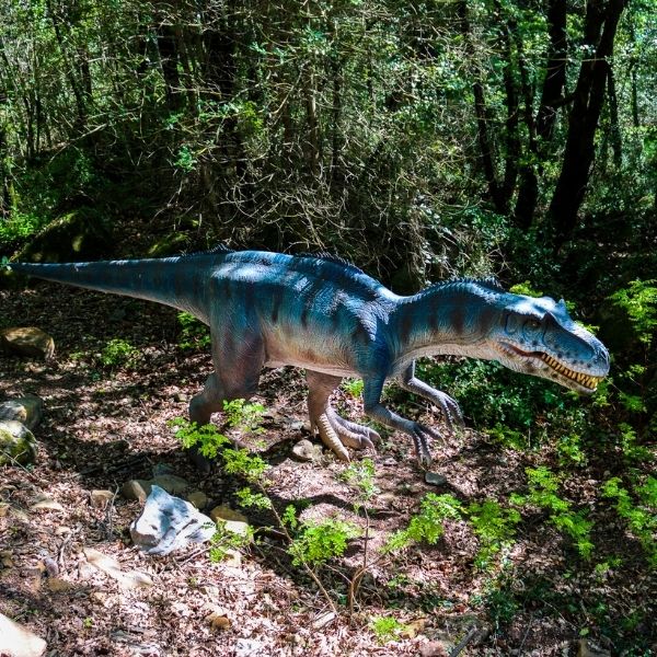 Allosaurus dinosaure