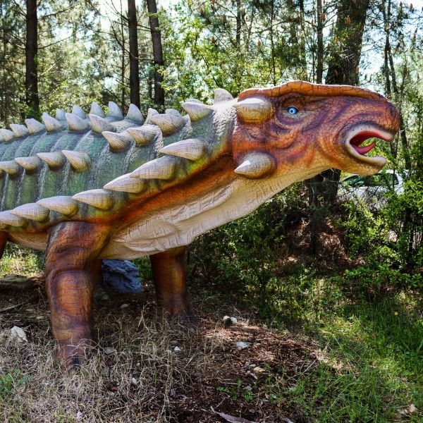 Ankylosaurus dinosaure