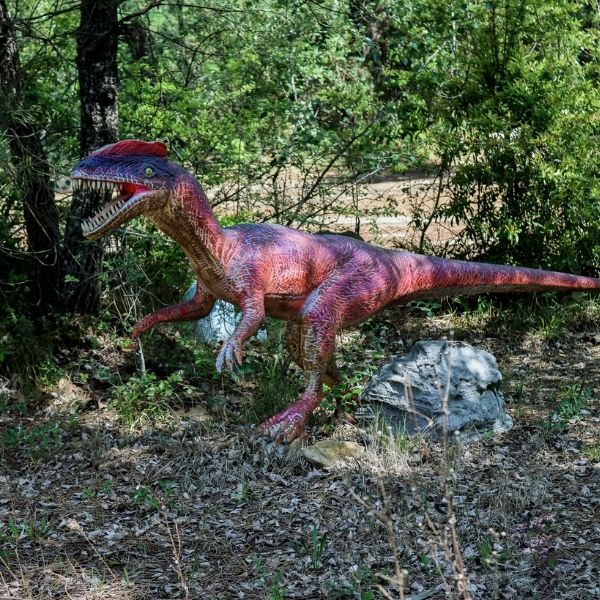 Coelophisys dinosaure