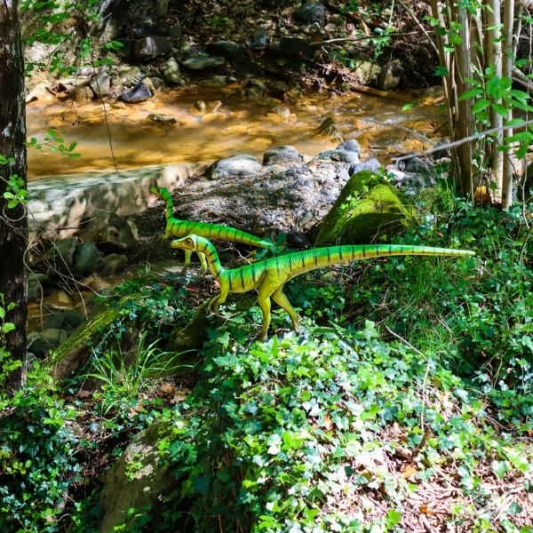 Compsognathus dinosaure