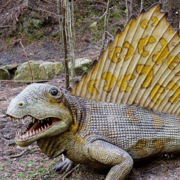 Dimetrodon dinosaure