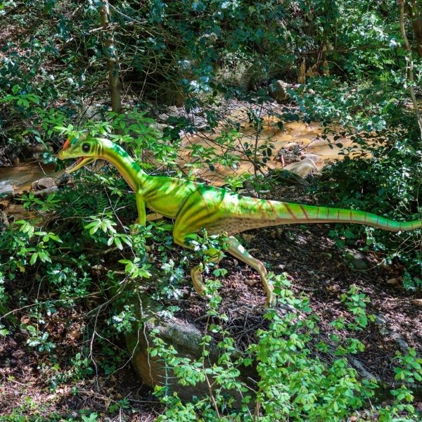 Guanlong wucaii dinosaure