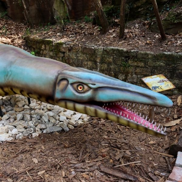 Pliosaurus Funkei dinosaure