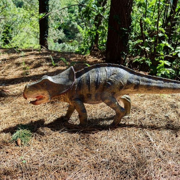 Protoceratops dinosaure