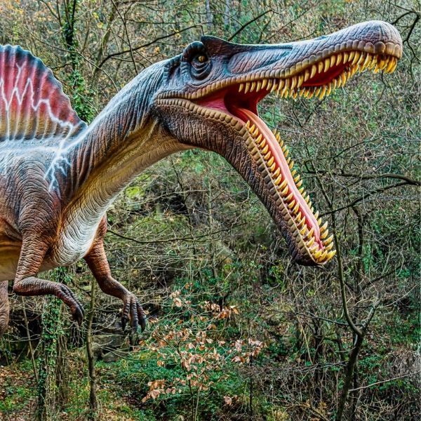 Spinosaurus dinosaure