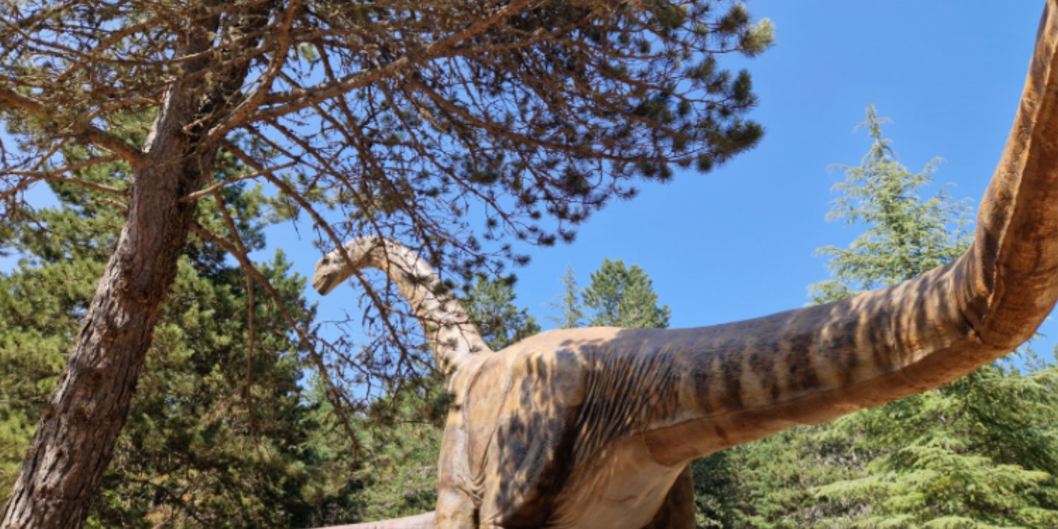 dinosaure argentinosaurus dinopedia parc mende