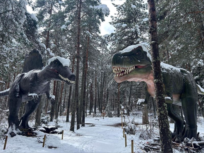 T-Rex et Spinosaurus recouverts de neige