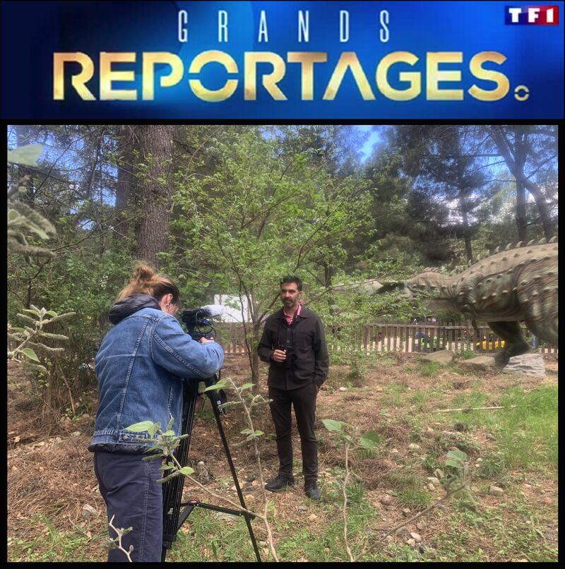 Grand reportage TF1